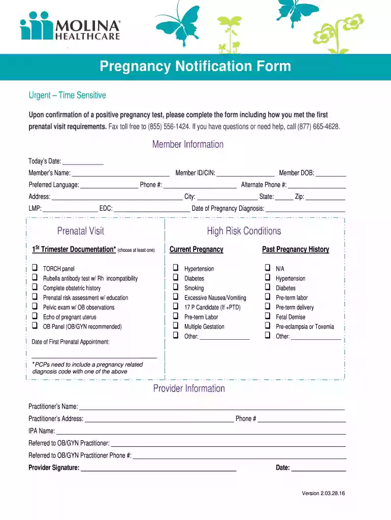BPregnancyb Notification bFormb - Molina Healthcare Preview on Page 1