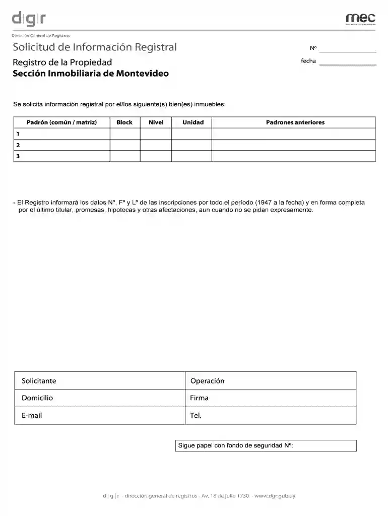 Solicitud de Informacin Registral N Vista previa en la página 1