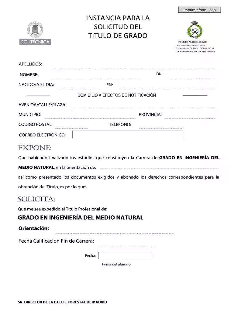 INSTANCIA PARA LA SOLICITUD DEL TITULO DE GRADO Vista previa en la página 1