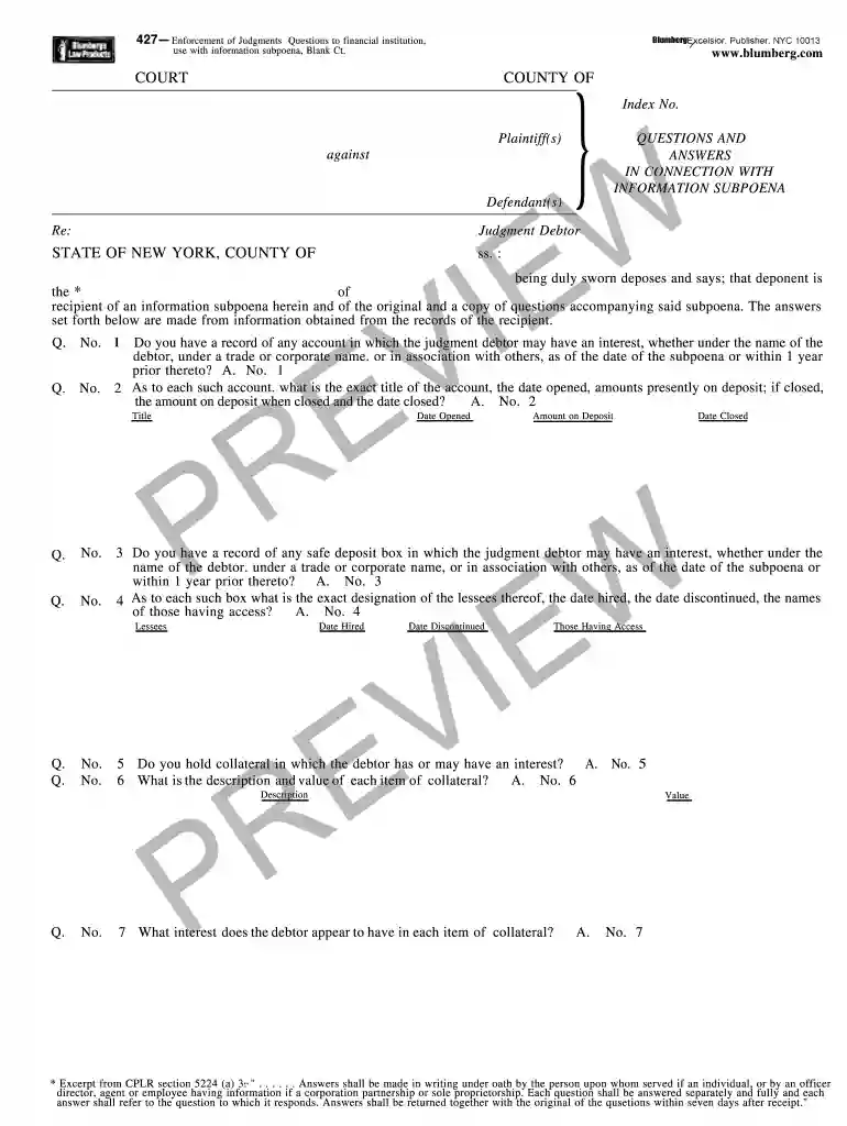 blumberg legal forms Preview on Page 1