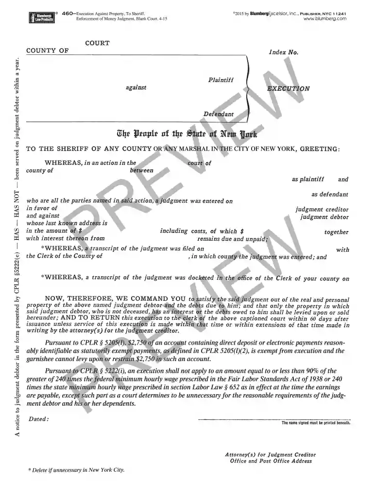 blumberg execution 460 form Preview on Page 1