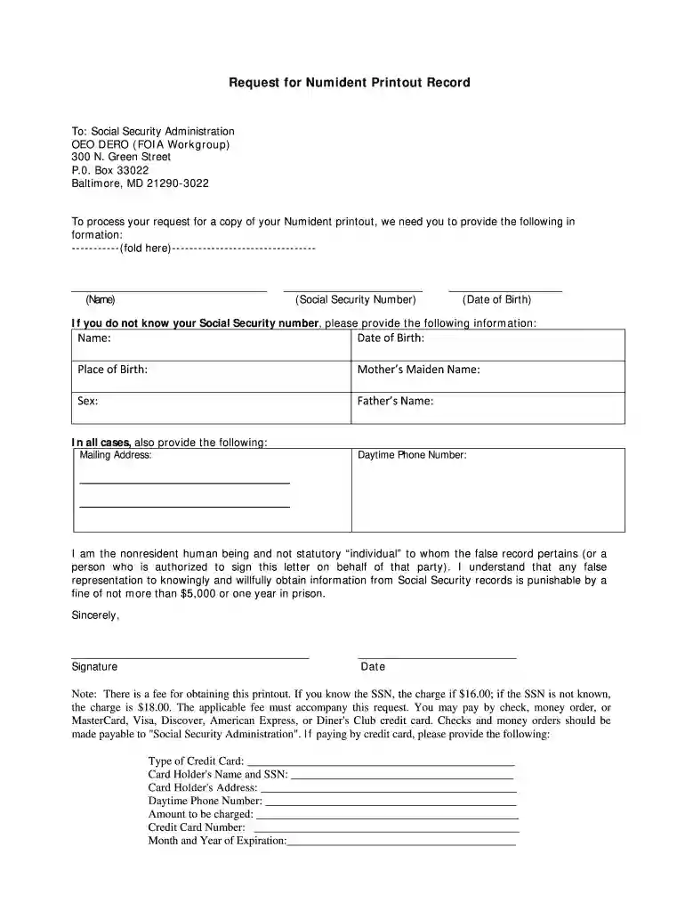 numident Preview on Page 1