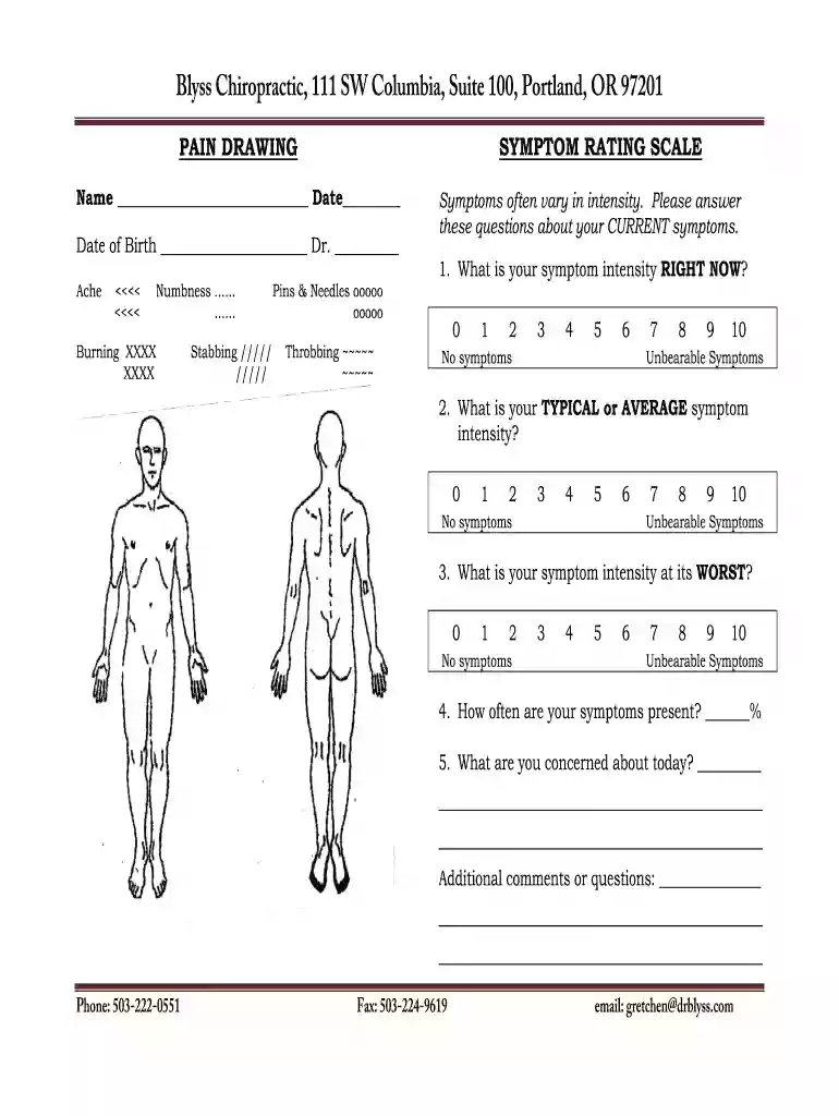 pain scale form Preview on Page 1