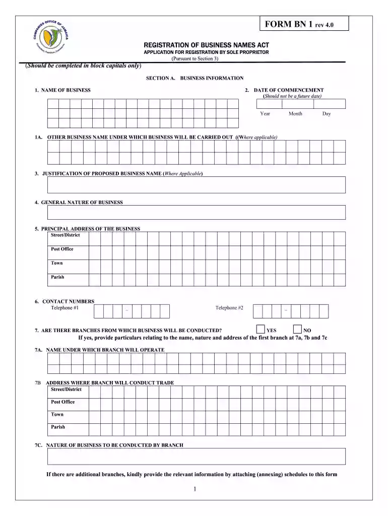 bn1 form Preview on Page 1