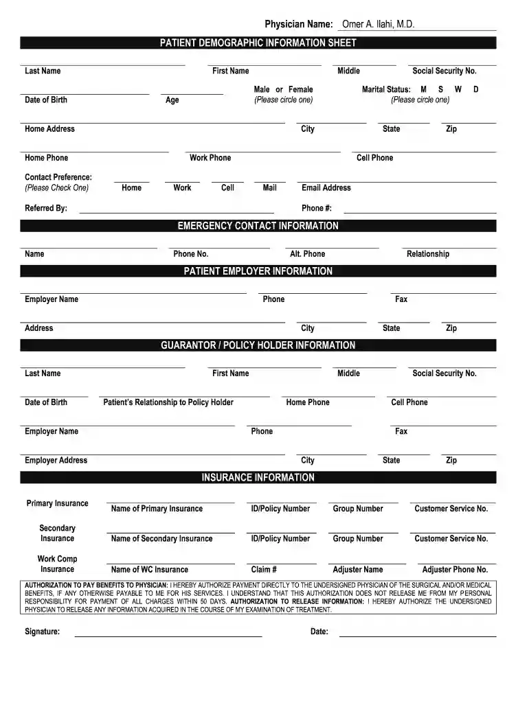 patient demographic form Preview on Page 1