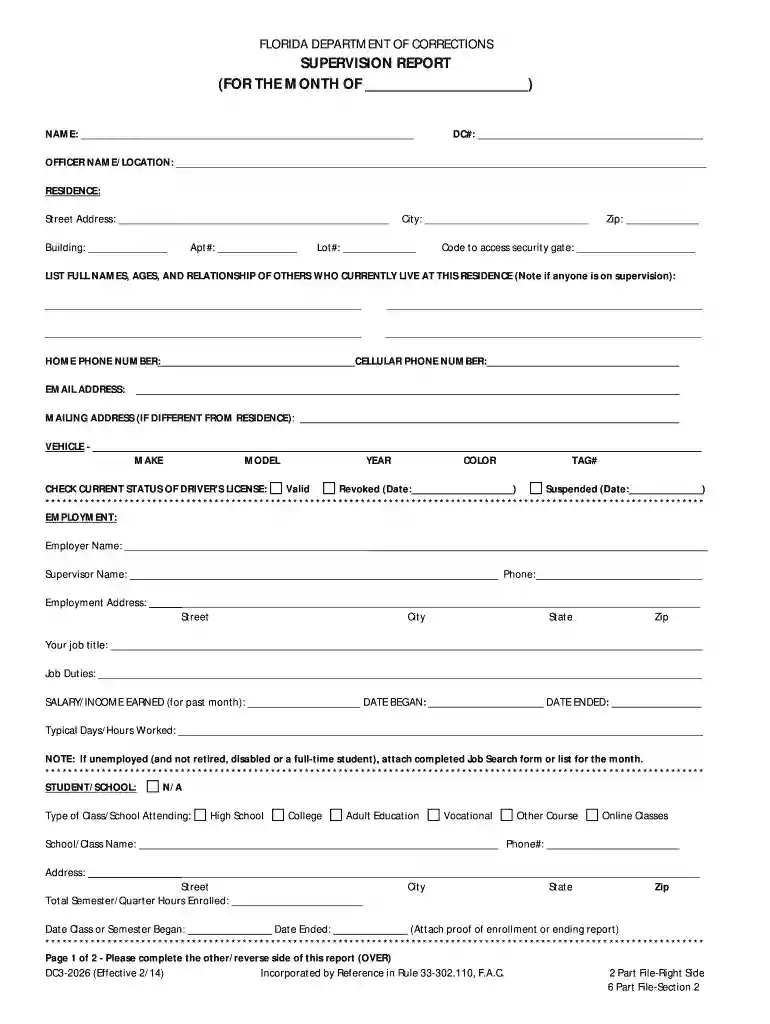 probation monthly report form florida Preview on Page 1