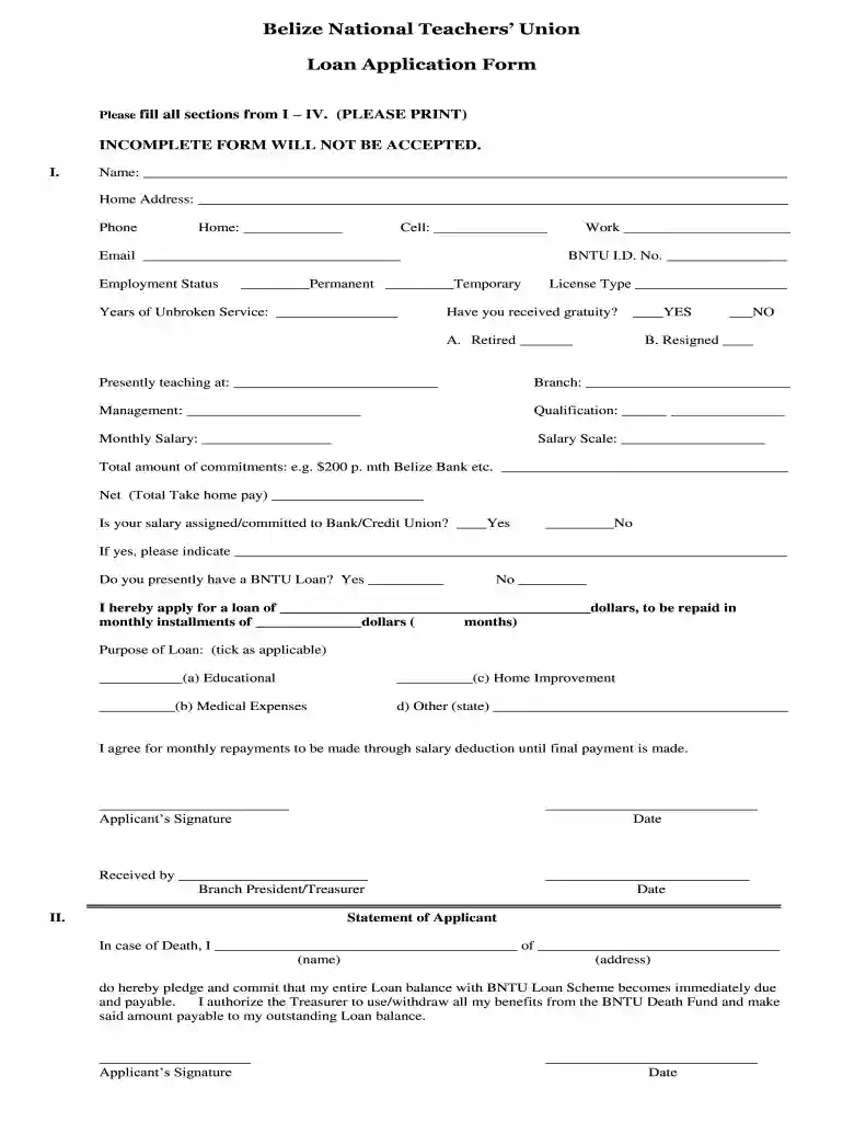 bntu loan form Preview on Page 1