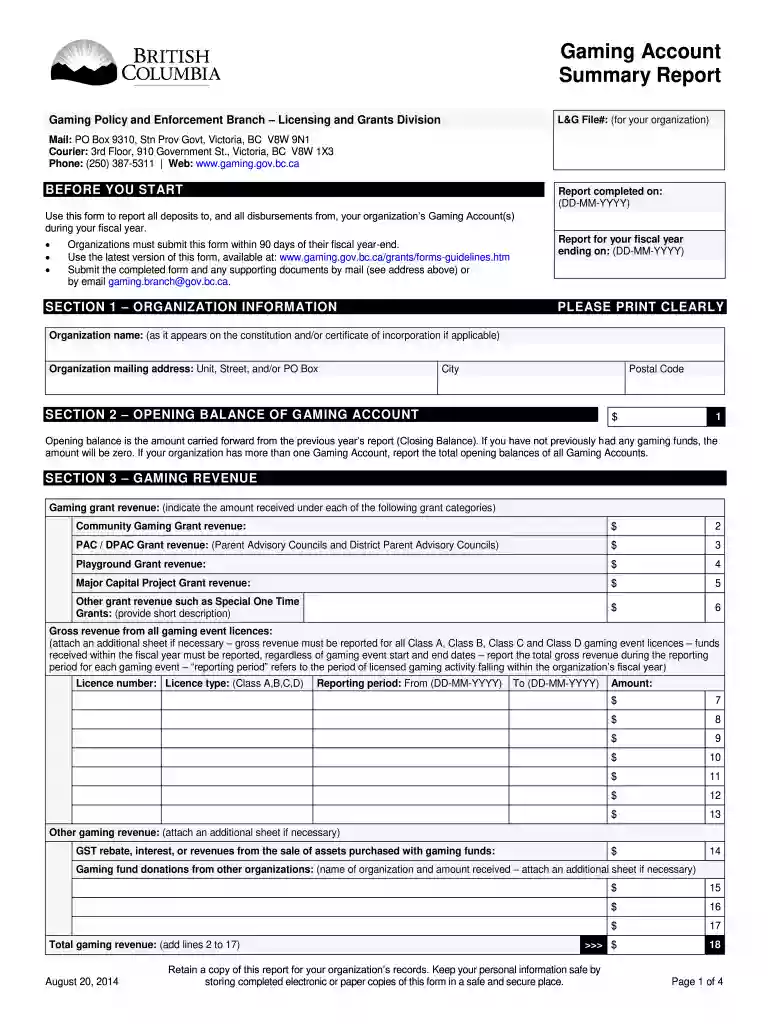 gaming account summary report Preview on Page 1
