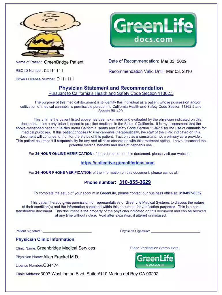 physician statement and recommendation Preview on Page 1