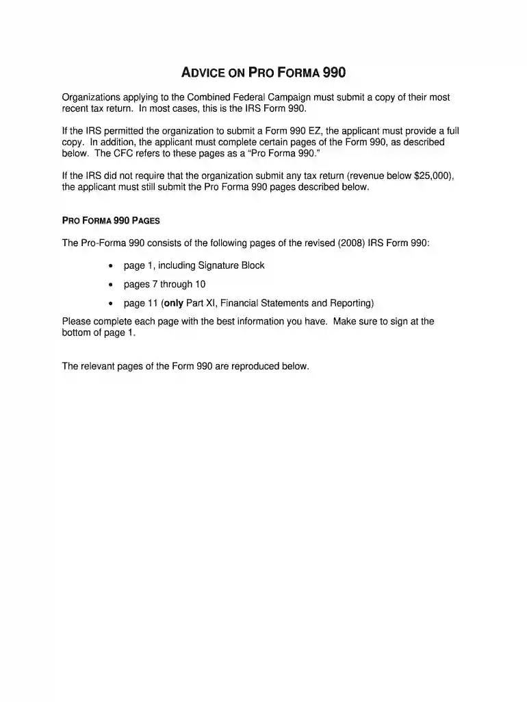 tax 2008 990 Preview on Page 1