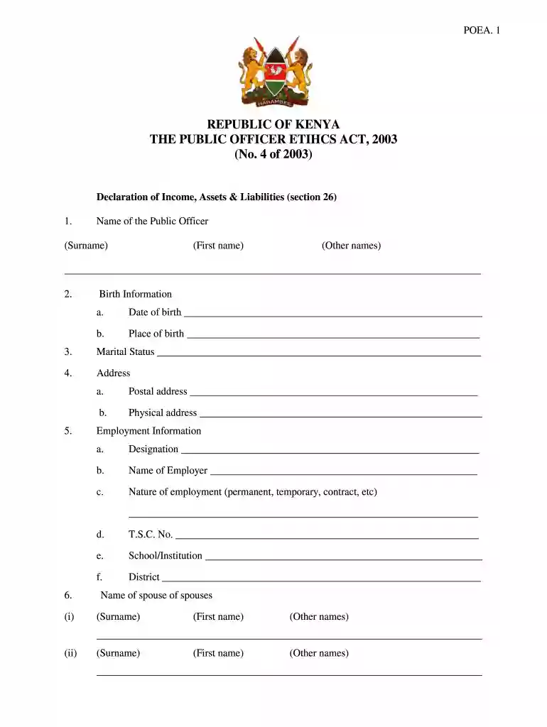 wealth declaration form Preview on Page 1