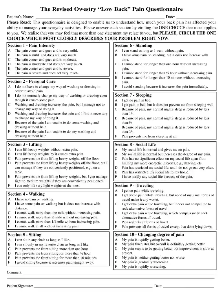 low back pain questionnaire pdf Preview on Page 1