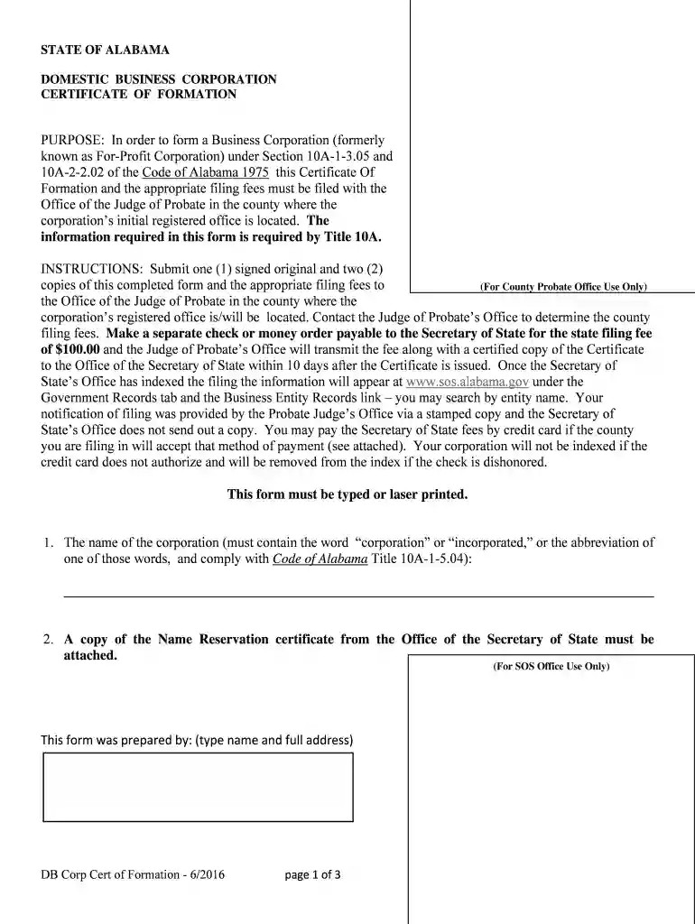 Domestic Business Corporation Certificate of Formation Preview on Page 1