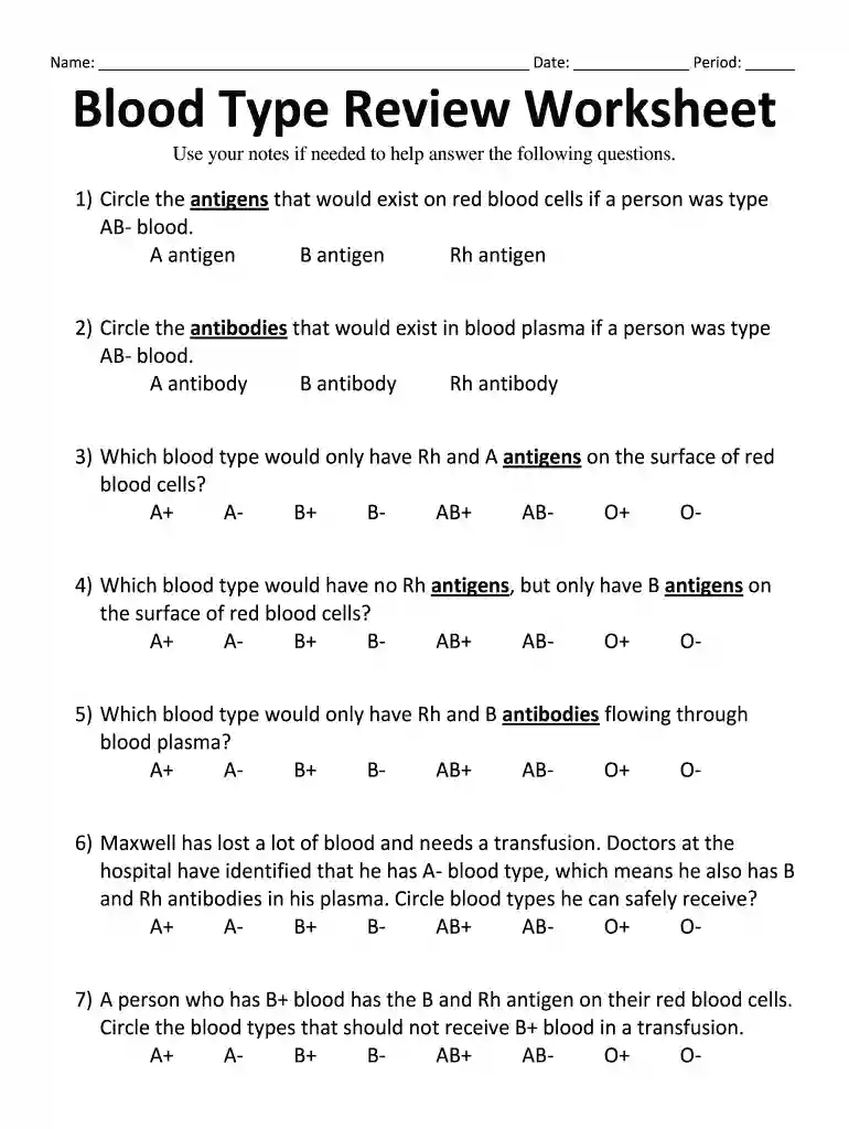 blood type review worksheet Preview on Page 1