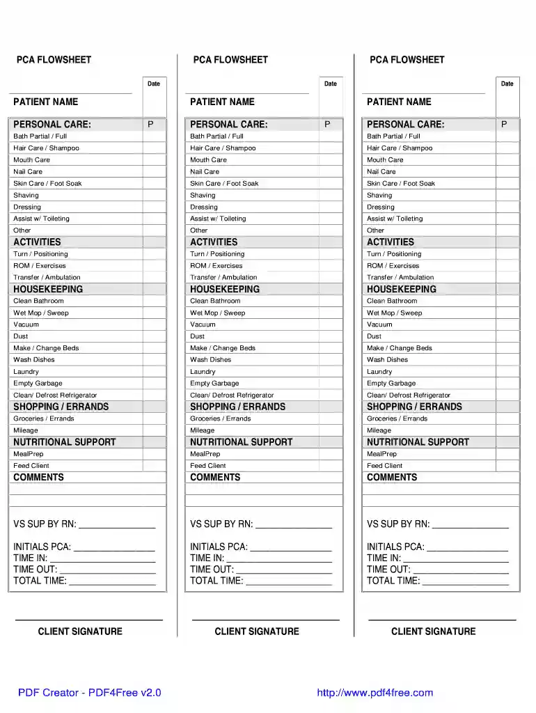 PCA FLOWSHEET - Northeast Kingdom Homecare Preview on Page 1