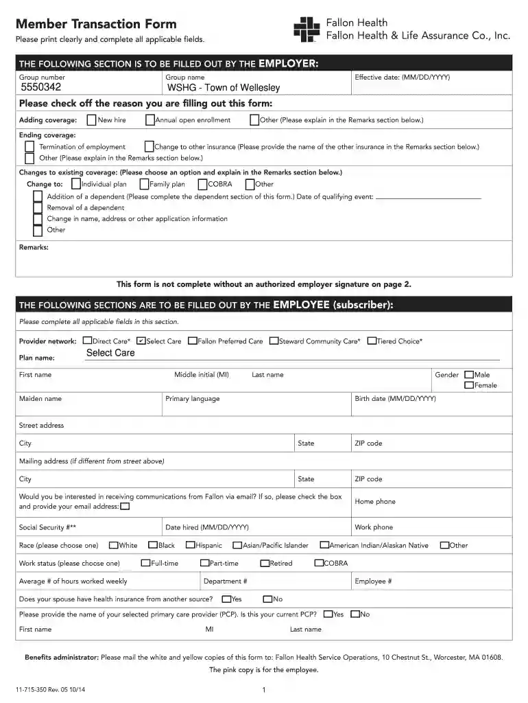 fallon form 11 printable Preview on Page 1
