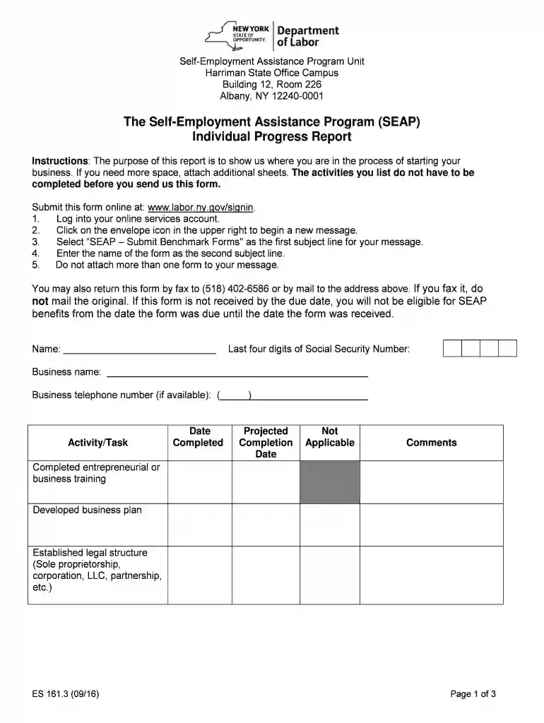 2016 NY ES 161.3 (formerly ES 161C) Preview on Page 1