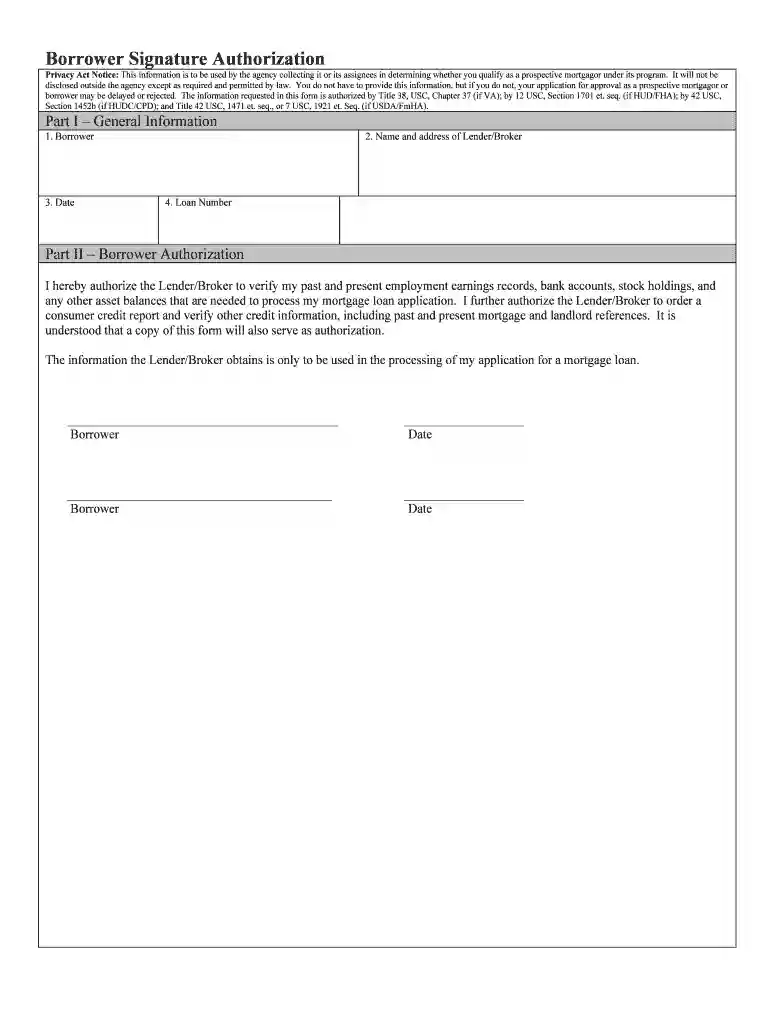 borrowers authorization form Preview on Page 1