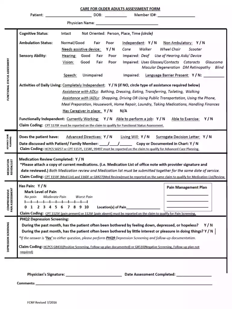care for older adults assessment form 2023 Preview on Page 1