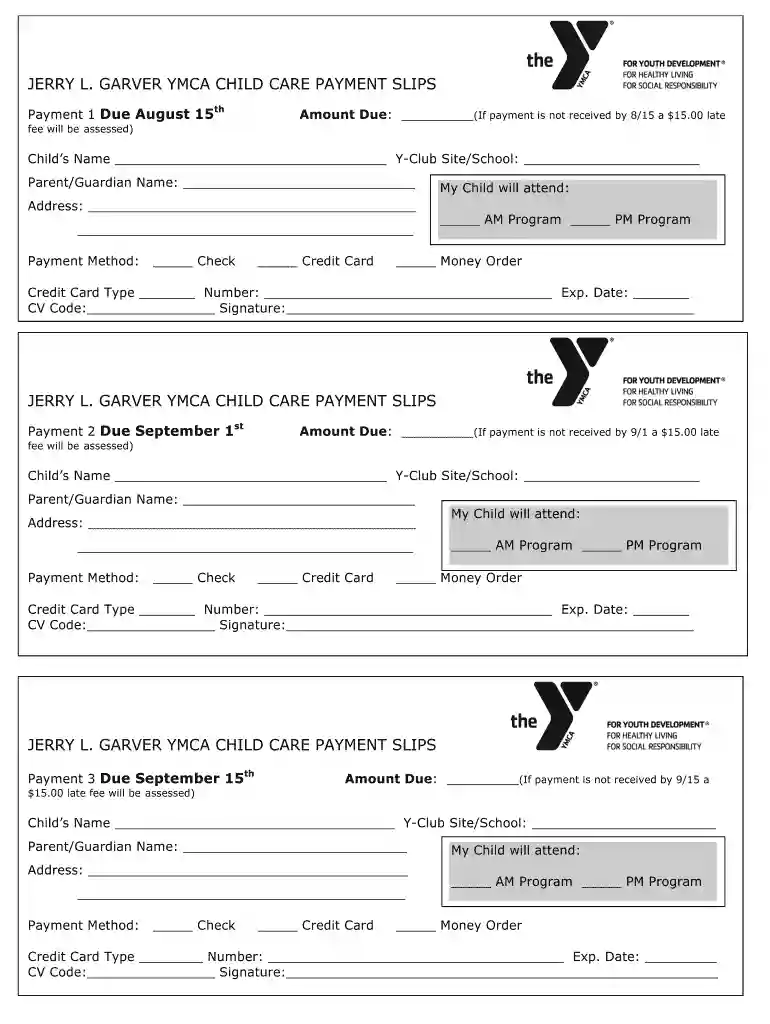 sacc payment Preview on Page 1