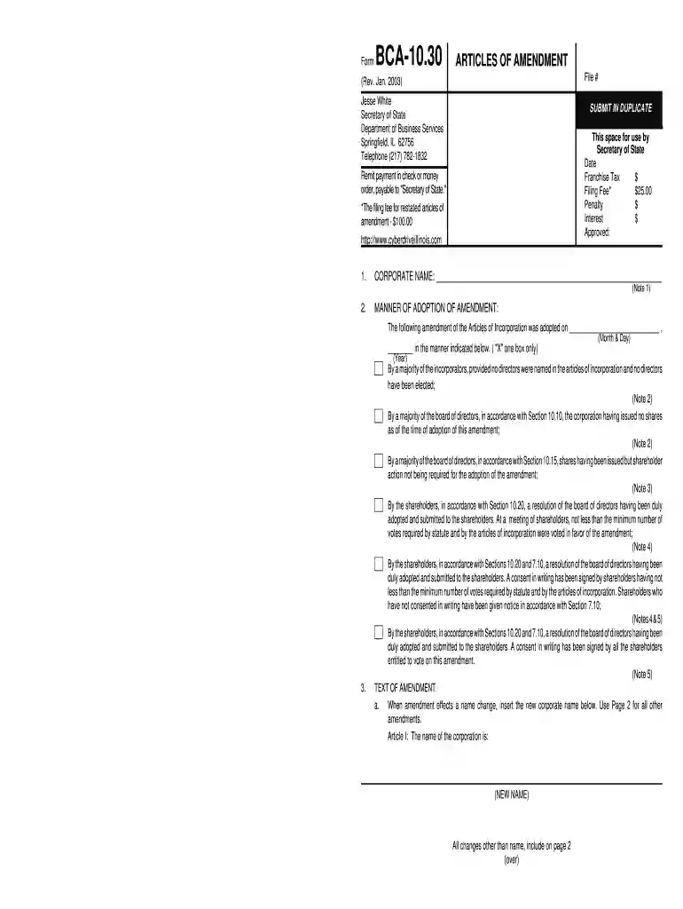 bca 10 30 articles of amendment Preview on Page 1