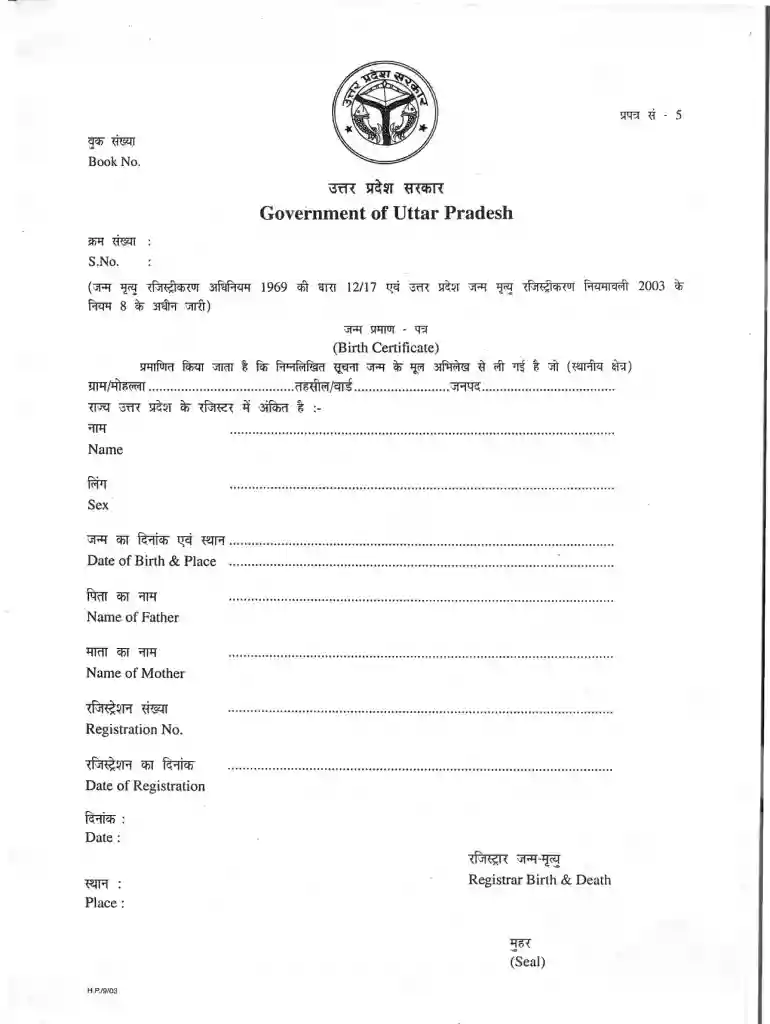 up birth certificate download pdf Preview on Page 1