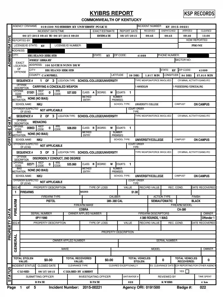 kyibrs report Preview on Page 1