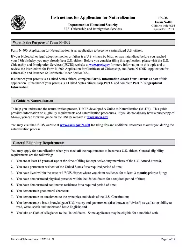 n 400 form pdf Preview on Page 1