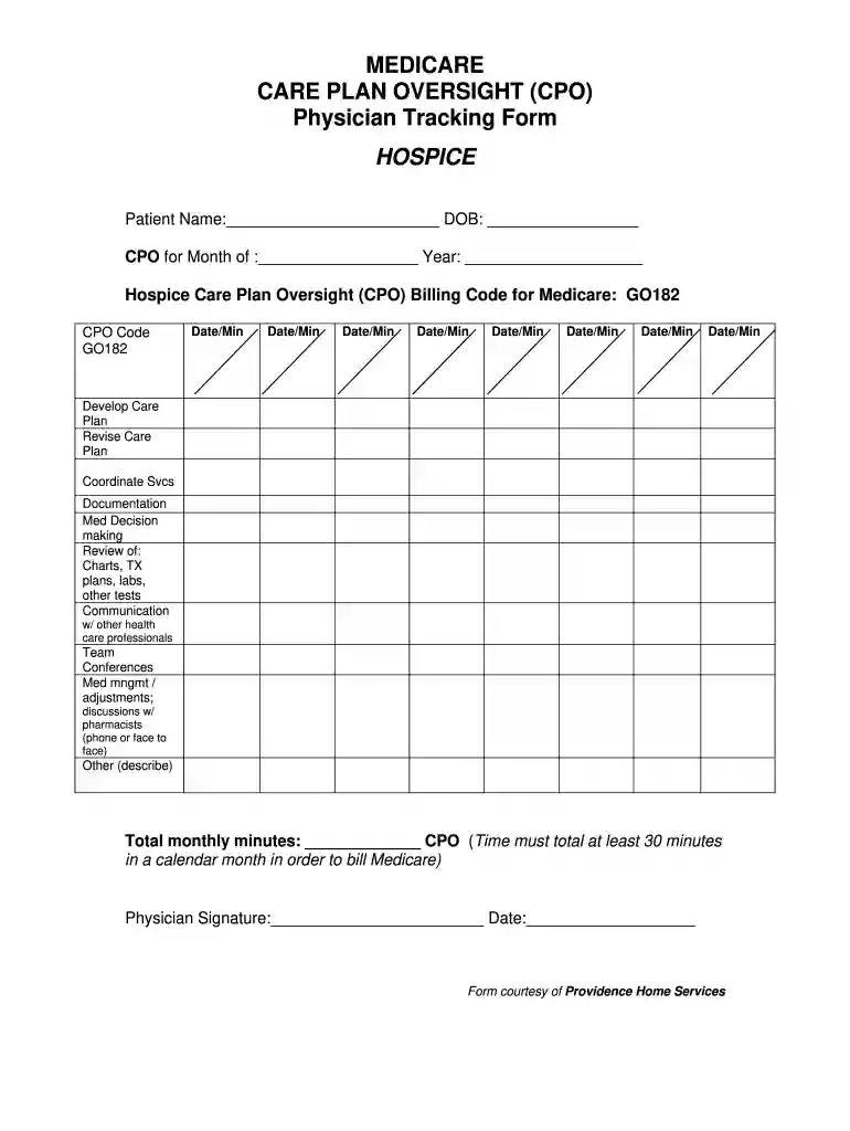 care plan oversight log sheet Preview on Page 1
