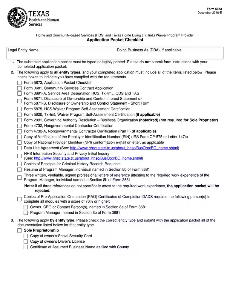 form 5873 Preview on Page 1