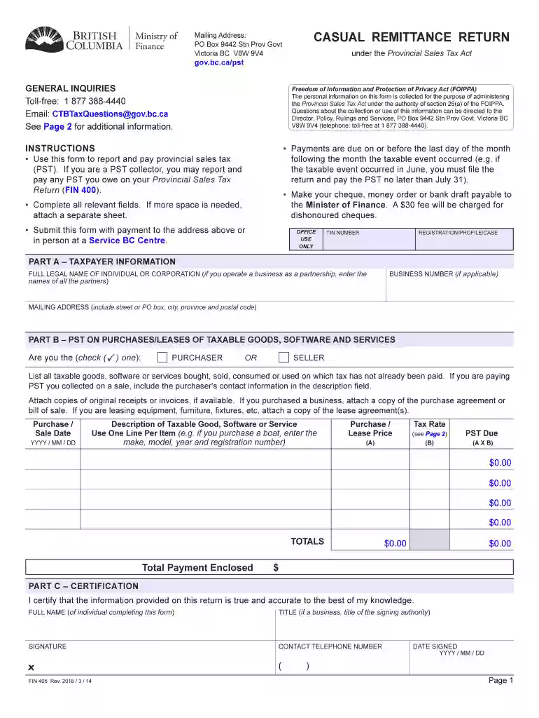 casual remittance form Preview on Page 1