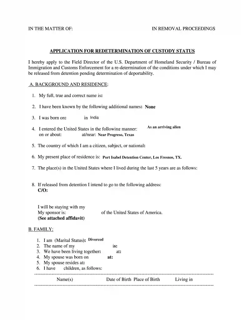 form i 296 Preview on Page 1