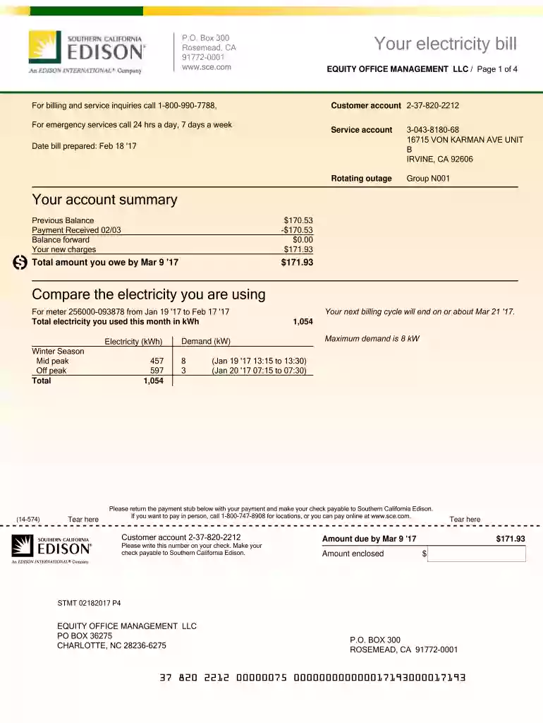 edison utility bill template Preview on Page 1