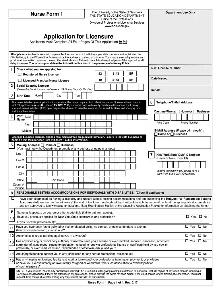 diy nclex application new york 2024 Preview on Page 1