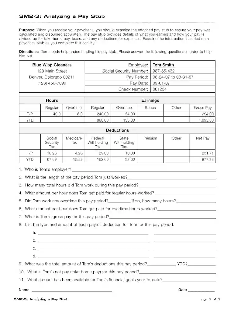 analyzing pay stubs answer key Preview on Page 1