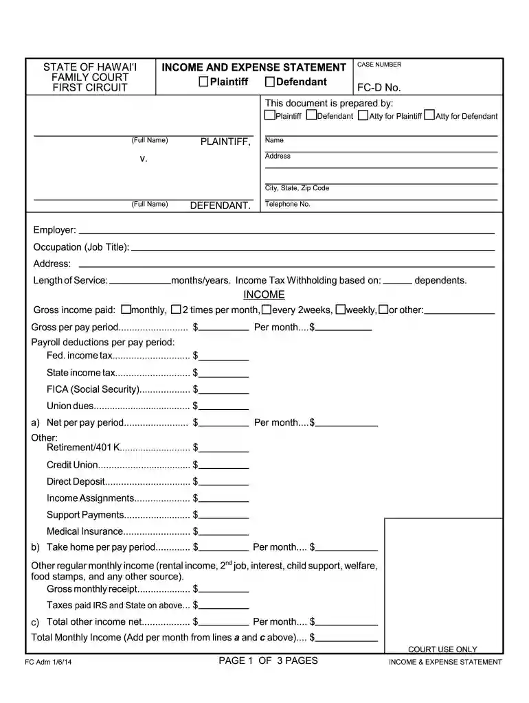 income and expense statement hawaii Preview on Page 1