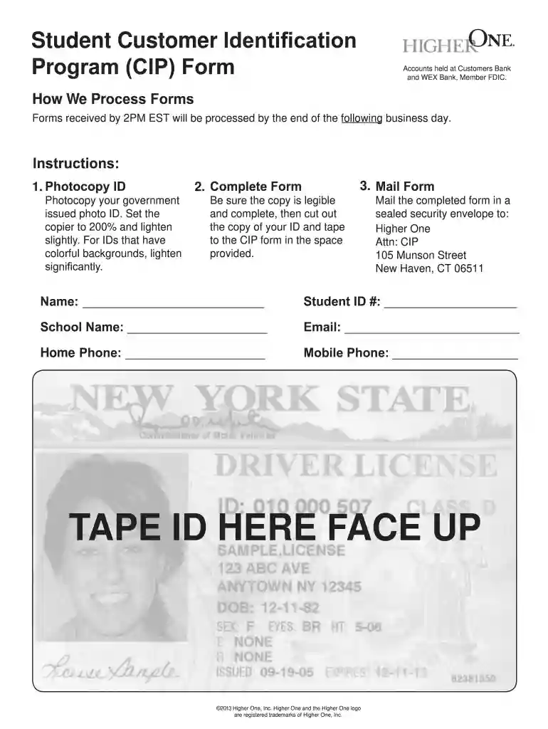 where to get the cip processing form Preview on Page 1