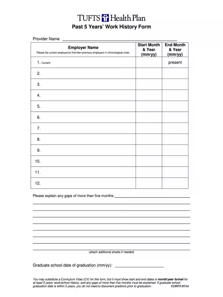 Past 5 Years Work History Form - Tufts Health Plan Preview on Page 1