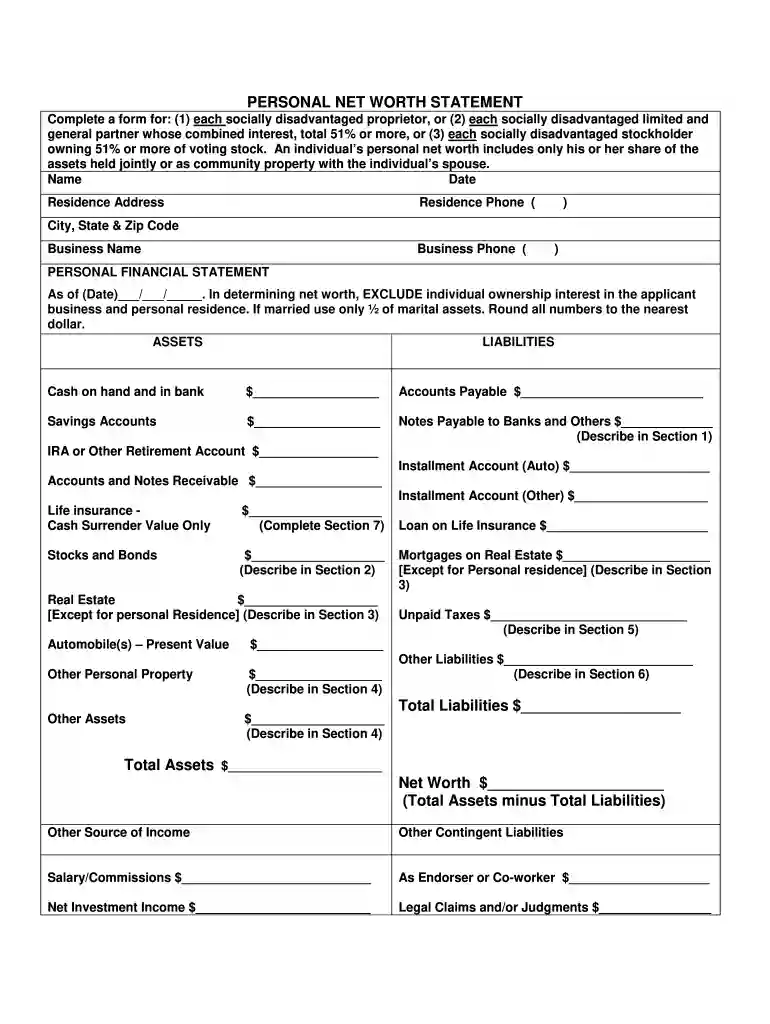 statement of net worth form Preview on Page 1