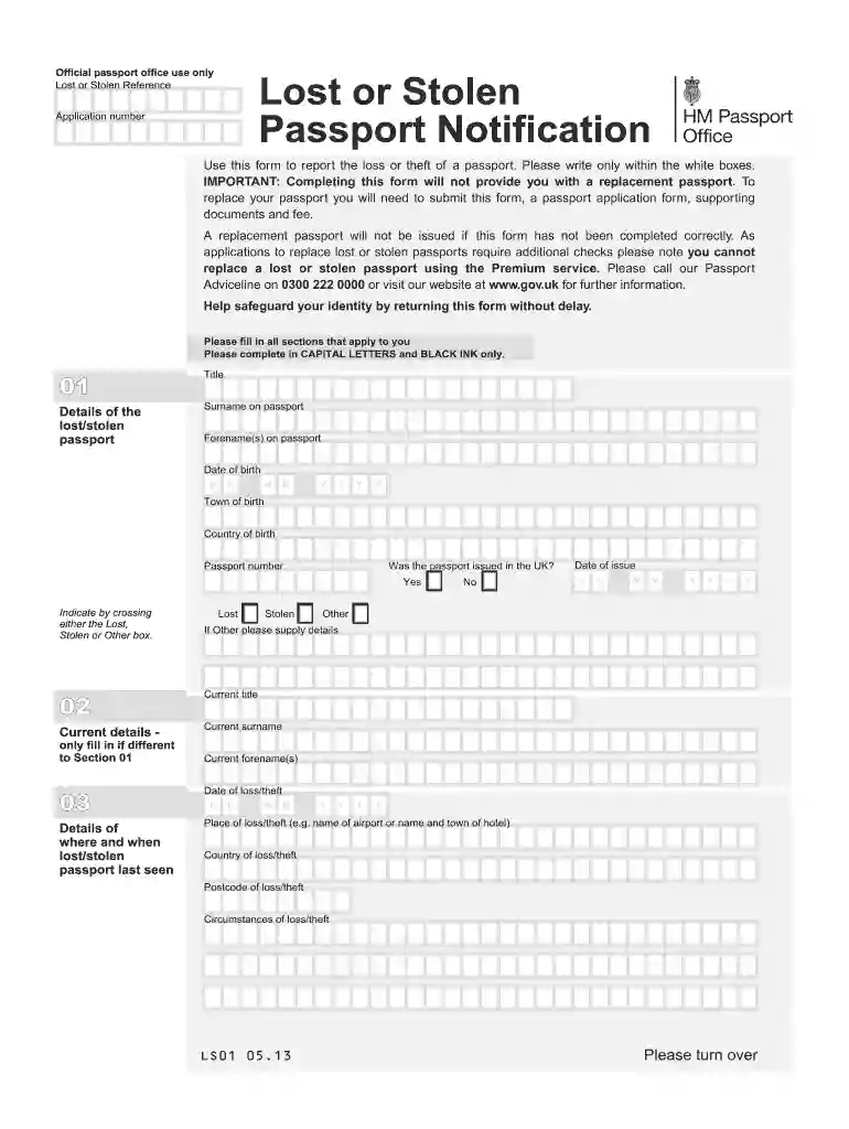 ls01 form Preview on Page 1