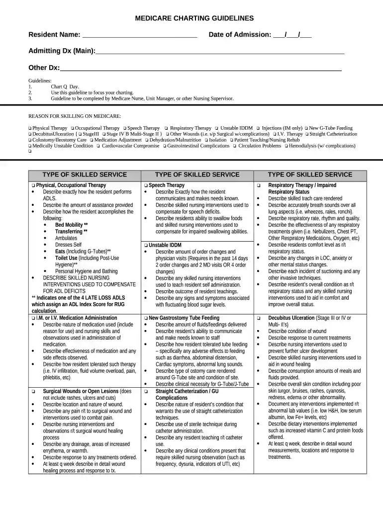 medicare charting examples Preview on Page 1