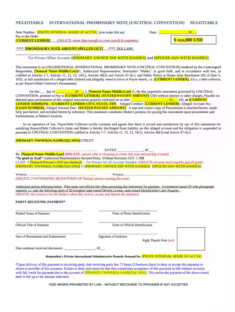 NEGOTIABLEINTERNATIONAL PROMISSORY NOTE (UNCITRAL CONVENTION)NEGOTIABLE Preview on Page 1
