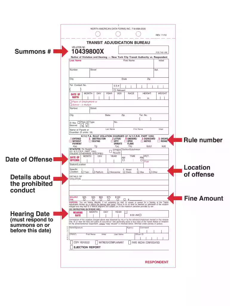 new york transit adjudication Preview on Page 1