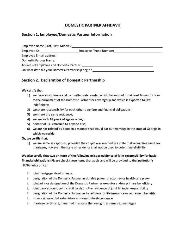 affidavit of domestic partnership philippines Preview on Page 1