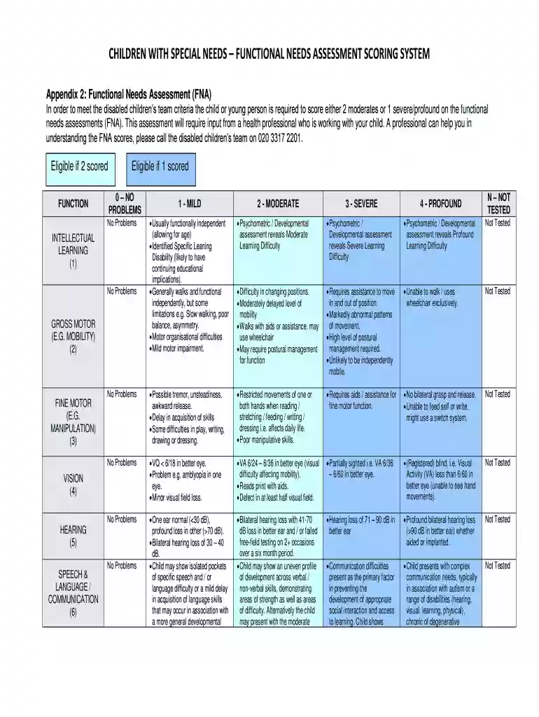 functional needs assessment Preview on Page 1