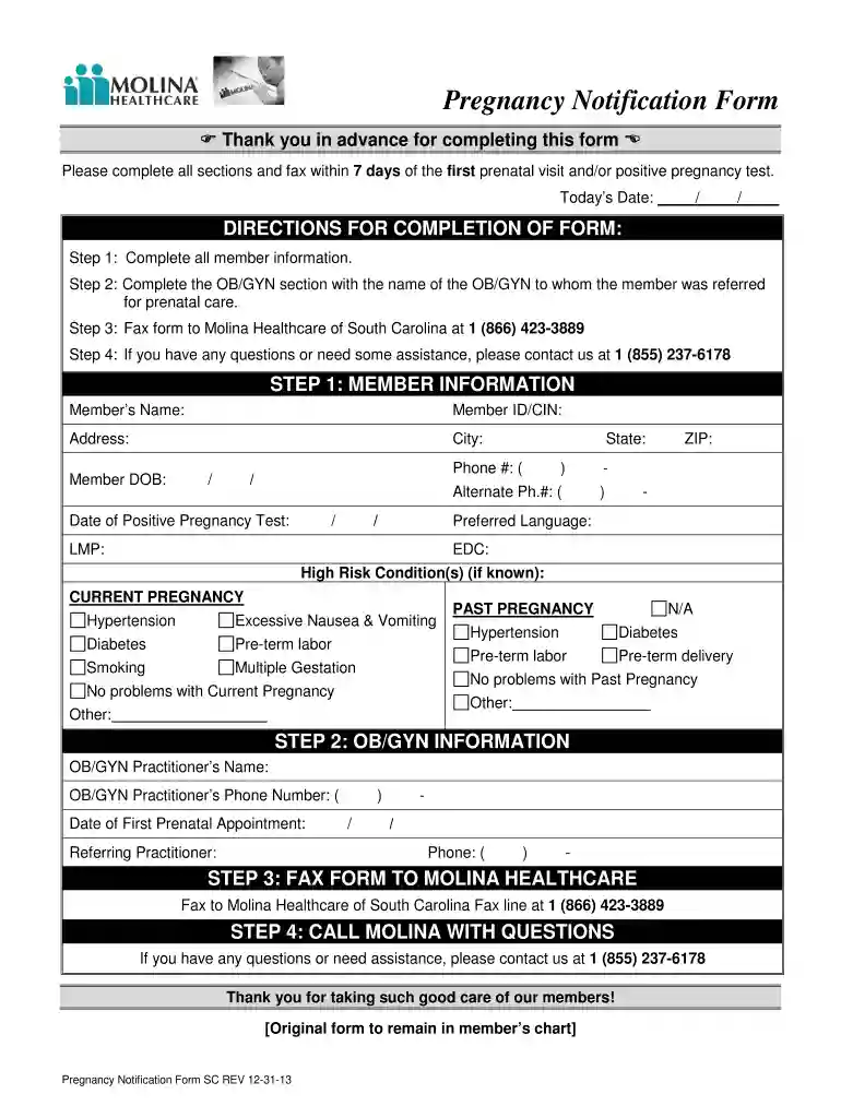 pregnancy report positive pdf free download Preview on Page 1