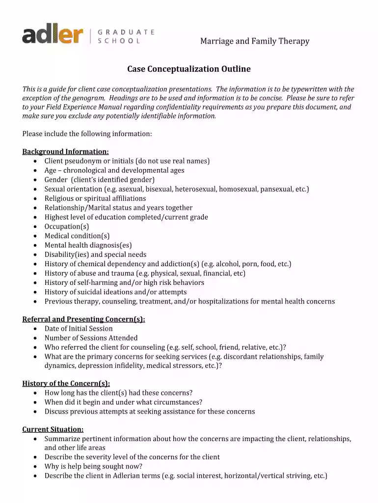 case conceptualization example Preview on Page 1