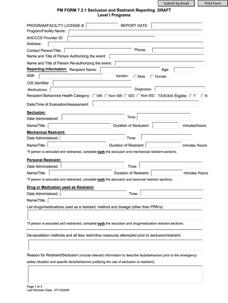 restraint consent form Preview on Page 1
