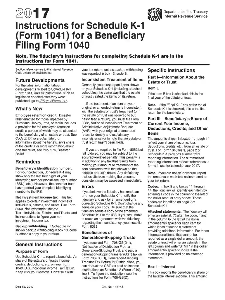 irs k 1 form instructions 2018-2019 Preview on Page 1