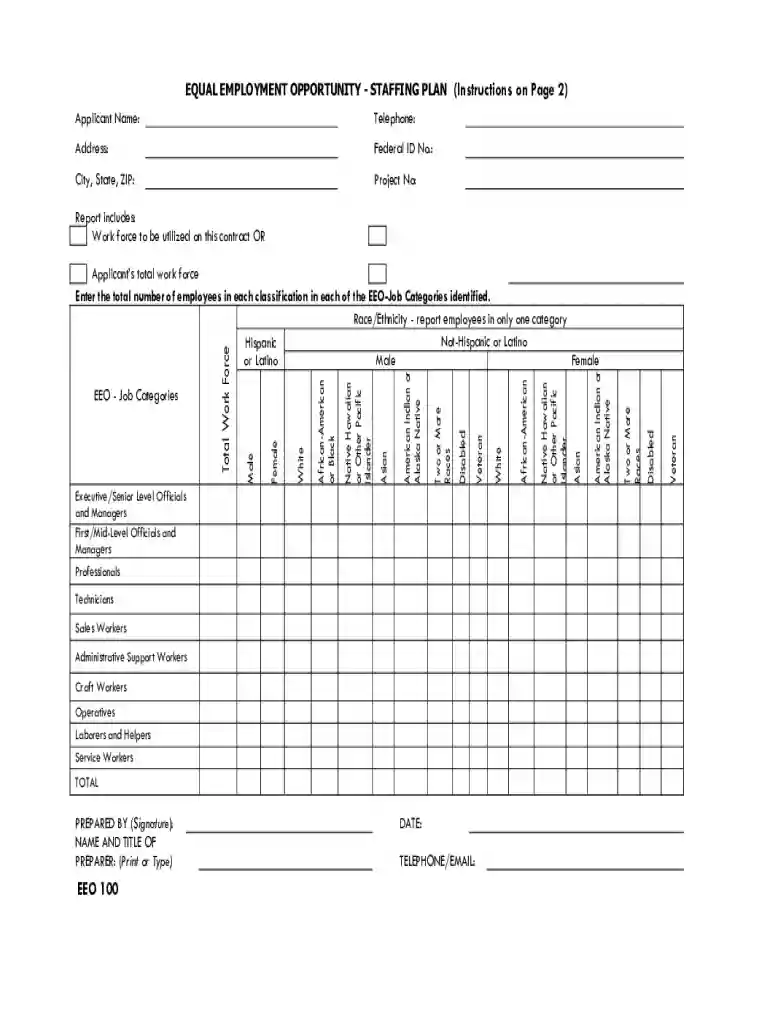 Staffing Plan and Instructions Preview on Page 1